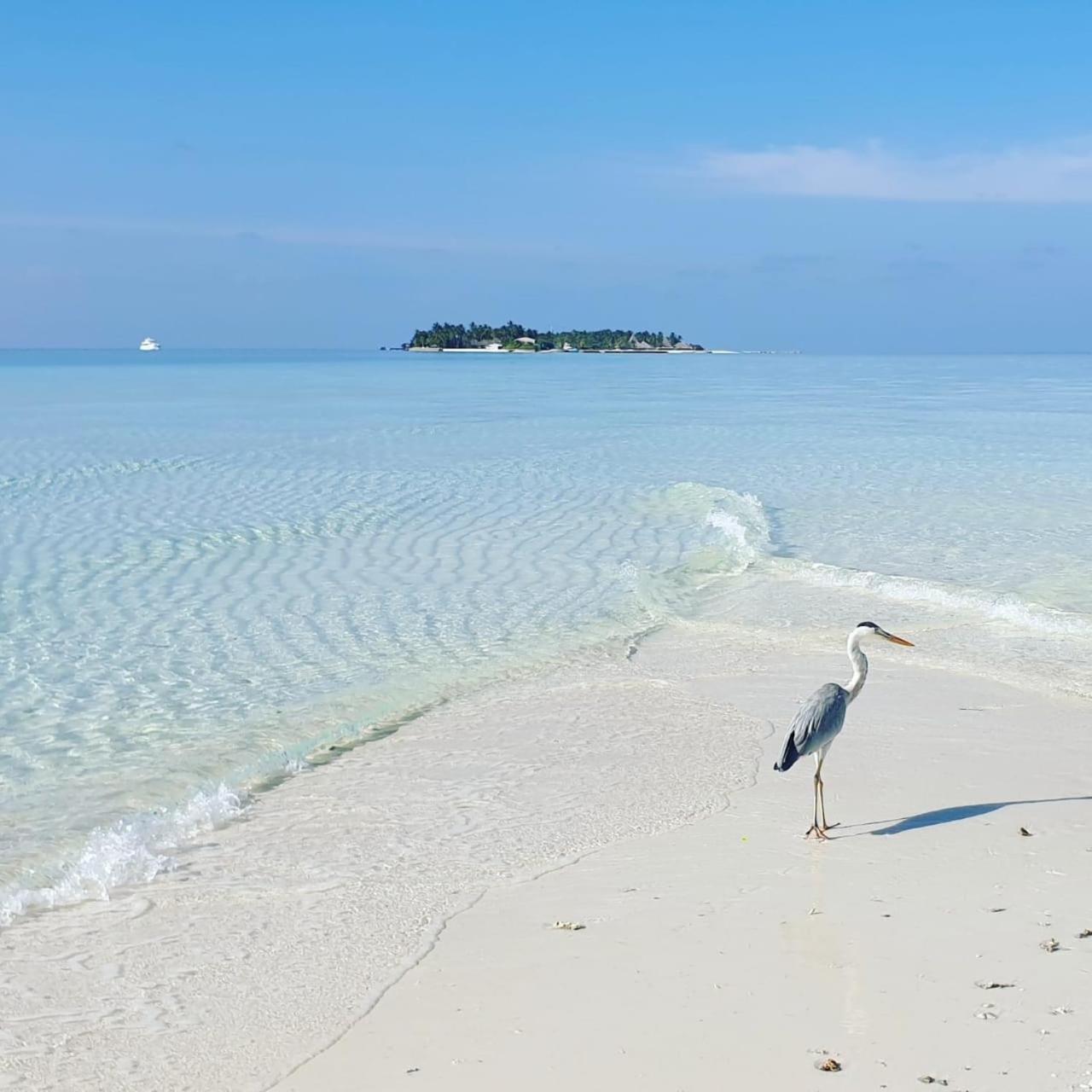 Ukulhas Villa Beach Hotel Dış mekan fotoğraf